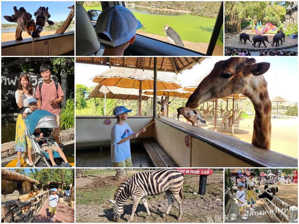 【曼谷】Safari World 賽佛瑞動物園、海洋公園，親子包車一日遊攻略