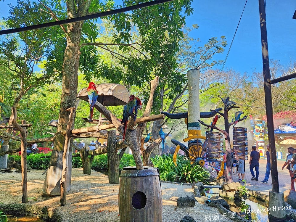 【曼谷】Safari World 賽佛瑞動物園、海洋公園，親子包車一日遊攻略