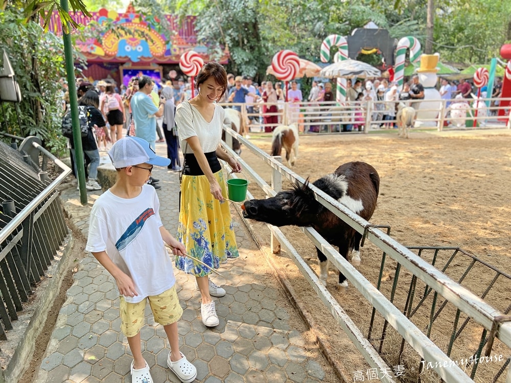 【曼谷】Safari World 賽佛瑞動物園、海洋公園，親子包車一日遊攻略