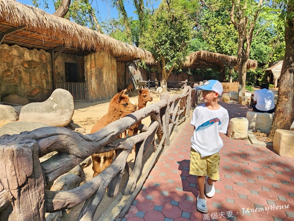 【曼谷】Safari World 賽佛瑞動物園、海洋公園，親子包車一日遊攻略