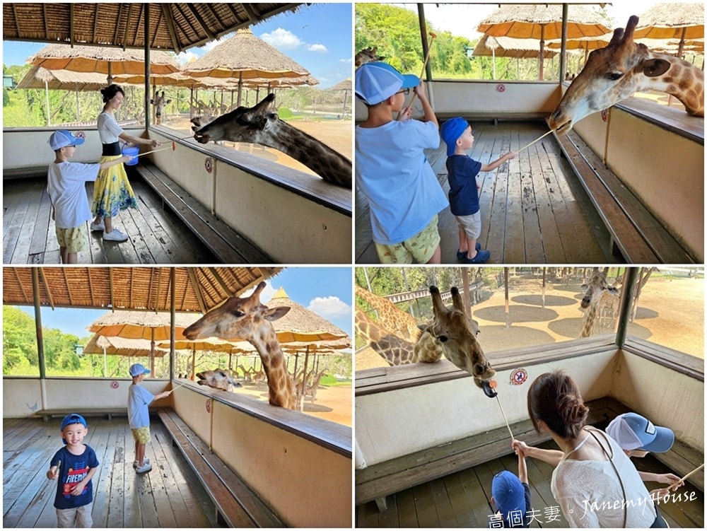 【曼谷】Safari World 賽佛瑞動物園、海洋公園，餵長頸鹿