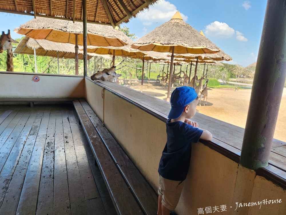 【曼谷】Safari World 賽佛瑞動物園、海洋公園，餵長頸鹿