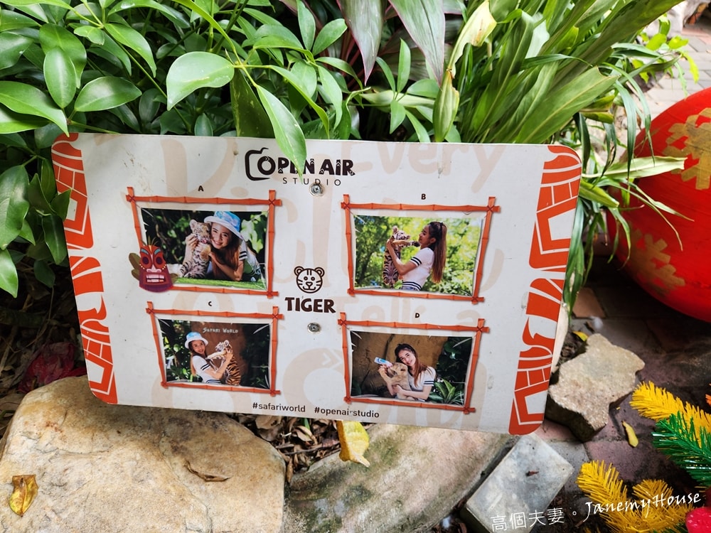 【曼谷】Safari World 賽佛瑞動物園、海洋公園，親子包車一日遊攻略