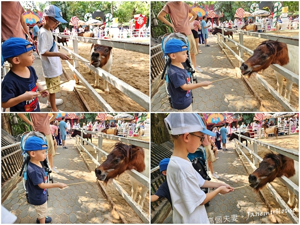 【曼谷】Safari World 賽佛瑞動物園、海洋公園，親子包車一日遊攻略