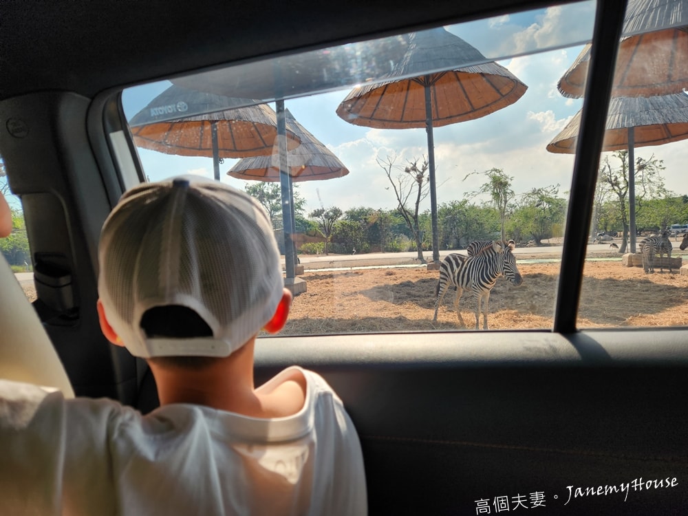 【曼谷】Safari World 賽佛瑞動物園、海洋公園，親子包車一日遊攻略
