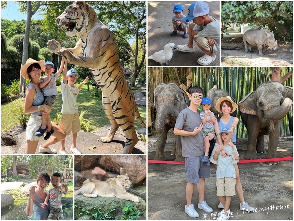 【峇里島】動物園Bali Safari，推薦親子遊必去景點，和獅子一起午餐！