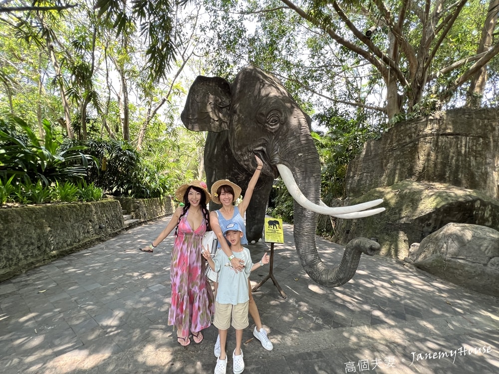 【峇里島】動物園Bali Safari，推薦親子遊必去景點，和獅子一起午餐！