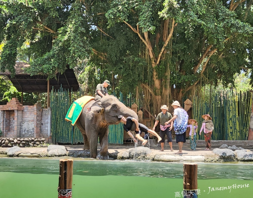 【峇里島】動物園Bali Safari，推薦親子遊必去景點，和獅子一起午餐！