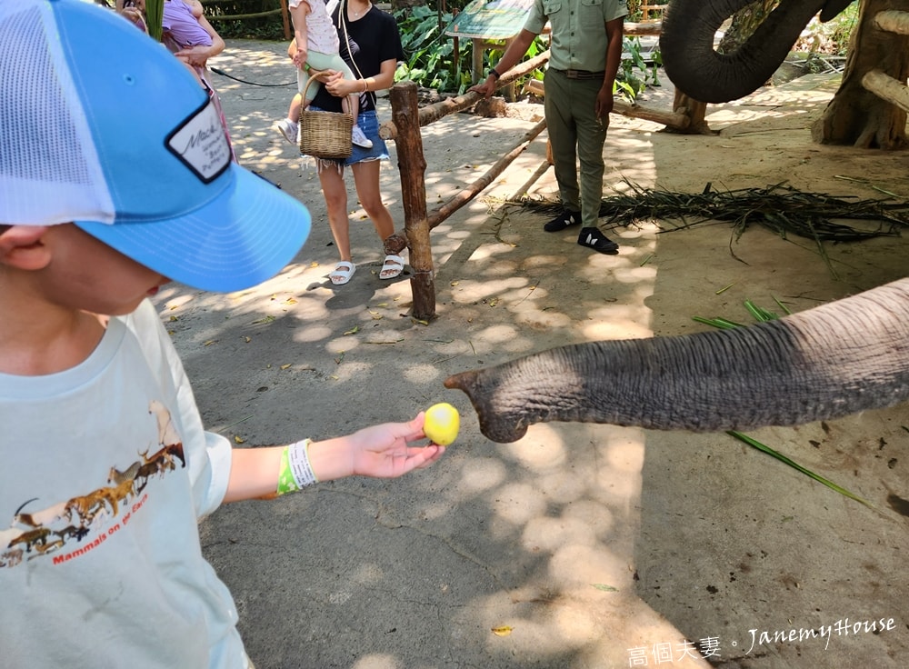 【峇里島】動物園Bali Safari，推薦親子遊必去景點，和獅子一起午餐！
