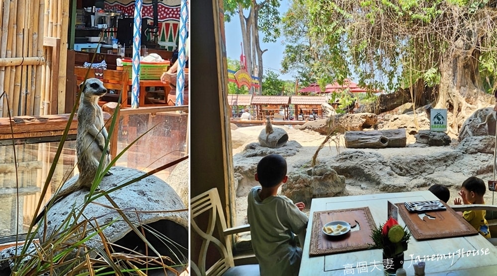【峇里島】動物園Bali Safari，獅子餐廳