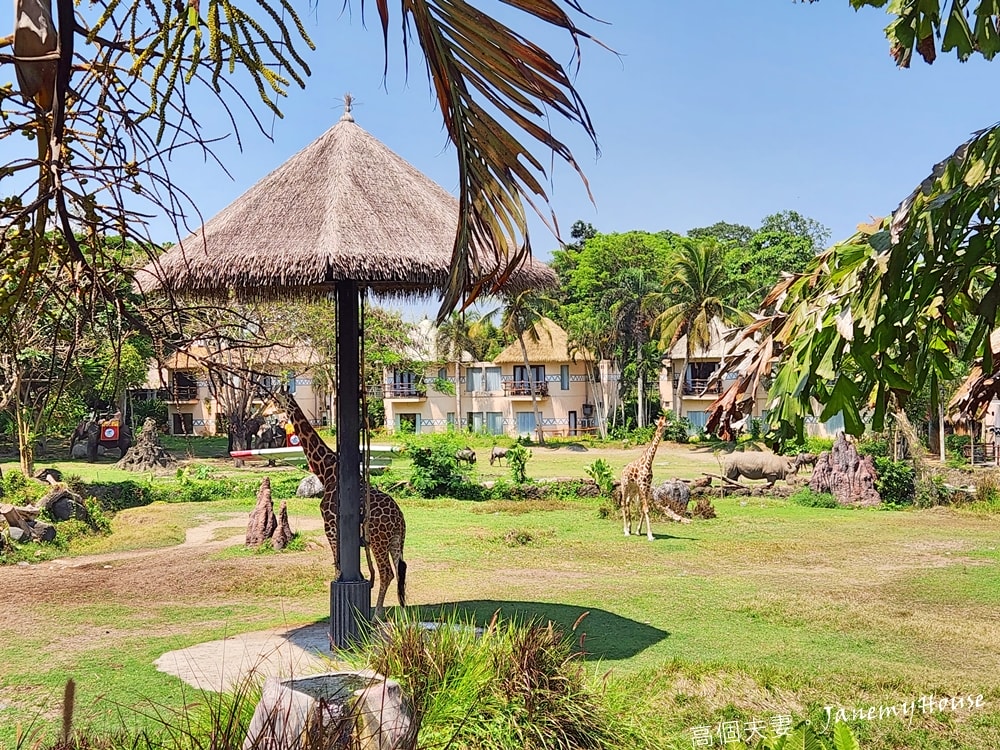 【峇里島】動物園Bali Safari，推薦親子遊必去景點，和獅子一起午餐！