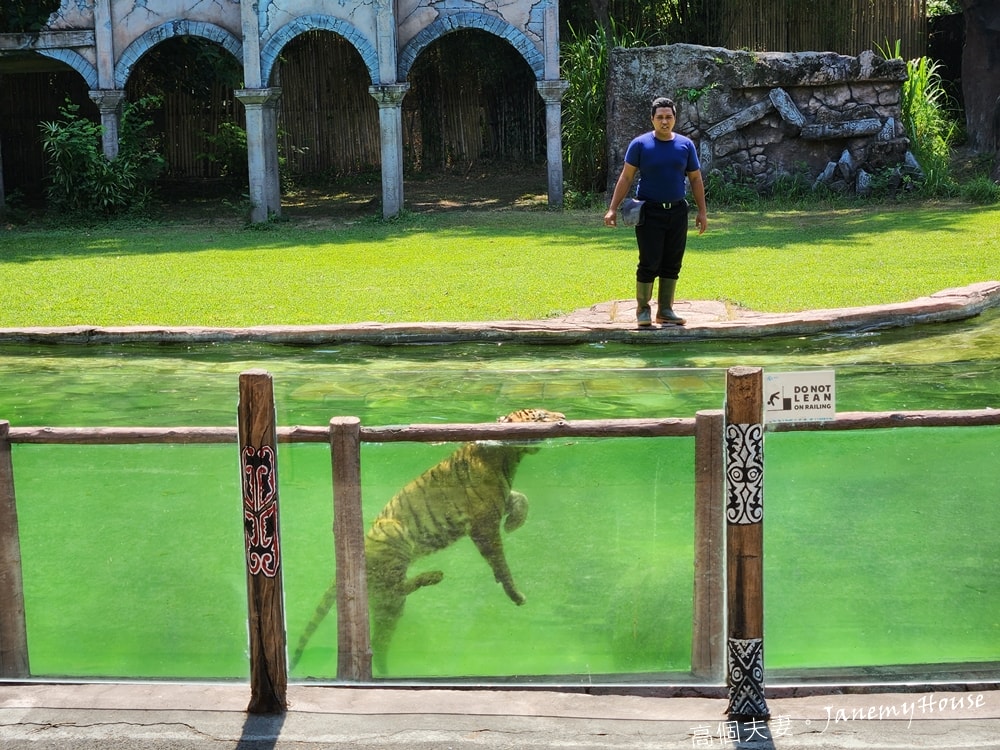 【峇里島】動物園Bali Safari，推薦親子遊必去景點，和獅子一起午餐！