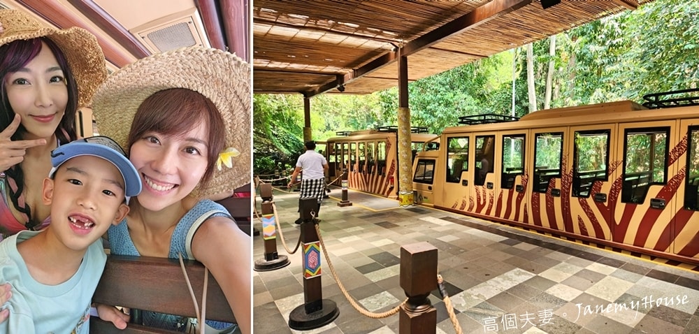 【峇里島】動物園Bali Safari，推薦親子遊必去景點，和獅子一起午餐！